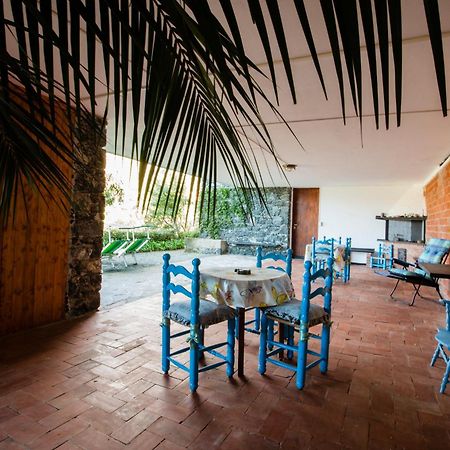 Villa Mimosa Splendida Vista Mare 博纳索拉 外观 照片