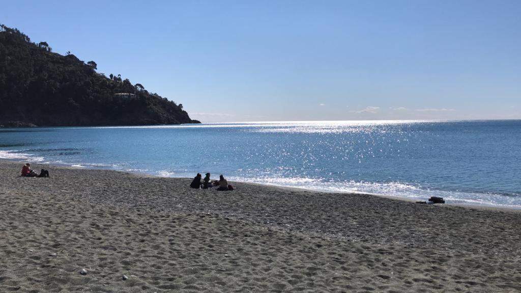 Villa Mimosa Splendida Vista Mare 博纳索拉 外观 照片