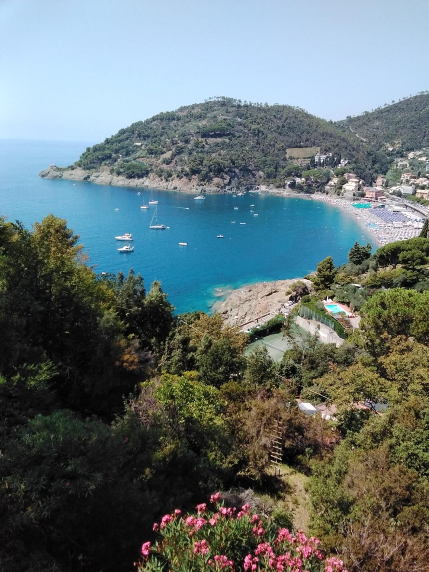 Villa Mimosa Splendida Vista Mare 博纳索拉 外观 照片