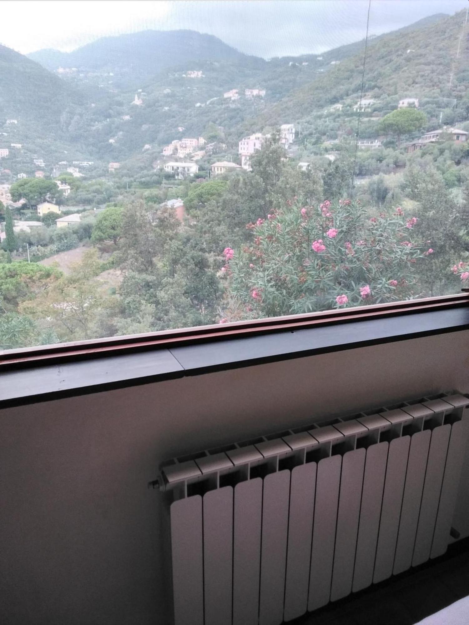 Villa Mimosa Splendida Vista Mare 博纳索拉 外观 照片