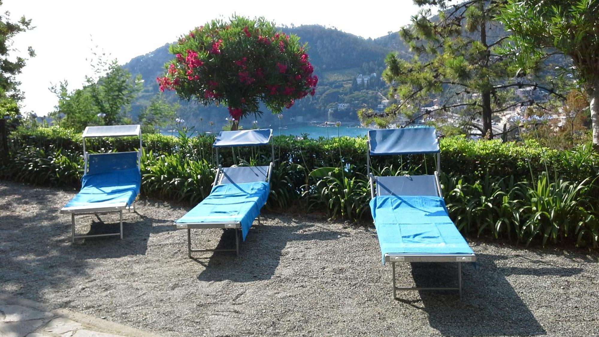Villa Mimosa Splendida Vista Mare 博纳索拉 外观 照片