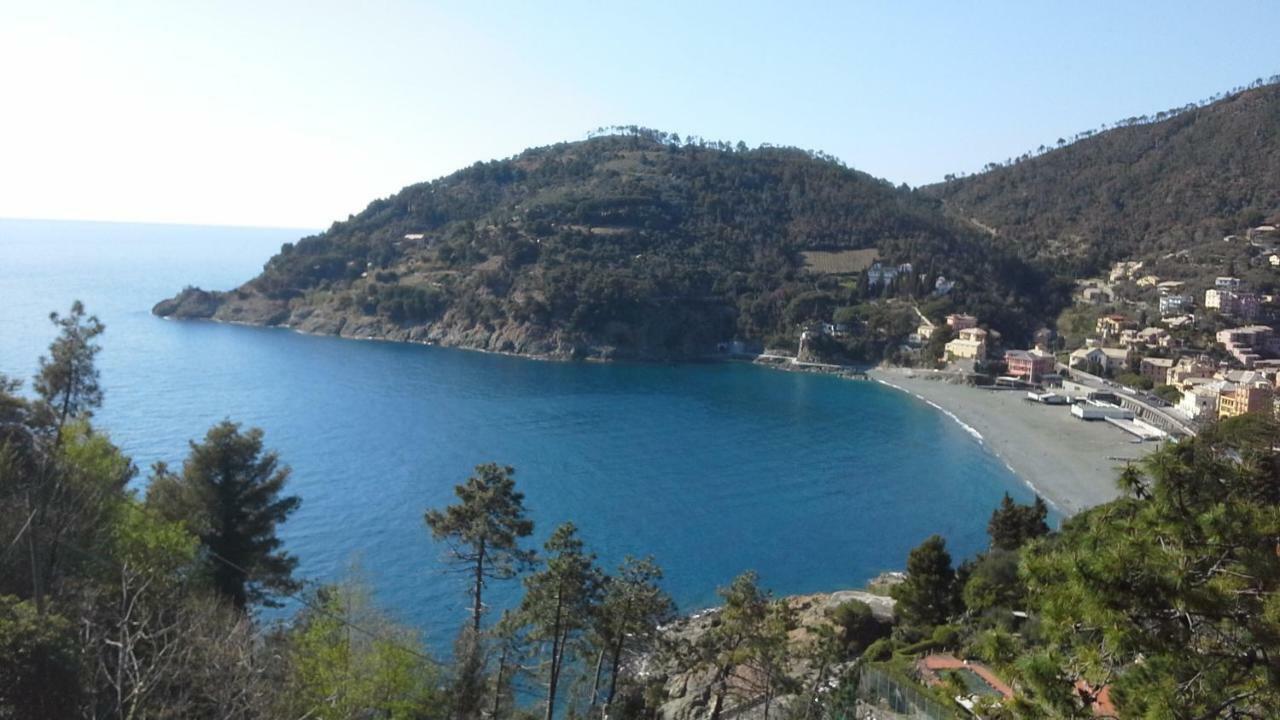 Villa Mimosa Splendida Vista Mare 博纳索拉 外观 照片